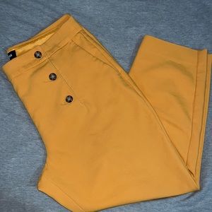 Express Ankle High Rise Pants 12S